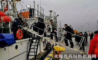 2019开门红 横沙国际渔港喜迎年度首艘外轮，助力畜牧渔业饲料销售