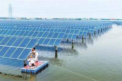 聚焦丨唐山丰南区“渔光互补”项目显成效 助推畜牧渔业饲料销售增长