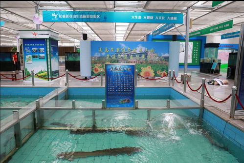 农博亮点抢先看丨渔业畜牧业展览 观赏与实用并重，助力畜牧渔业饲料销售